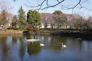 鹿沼公園