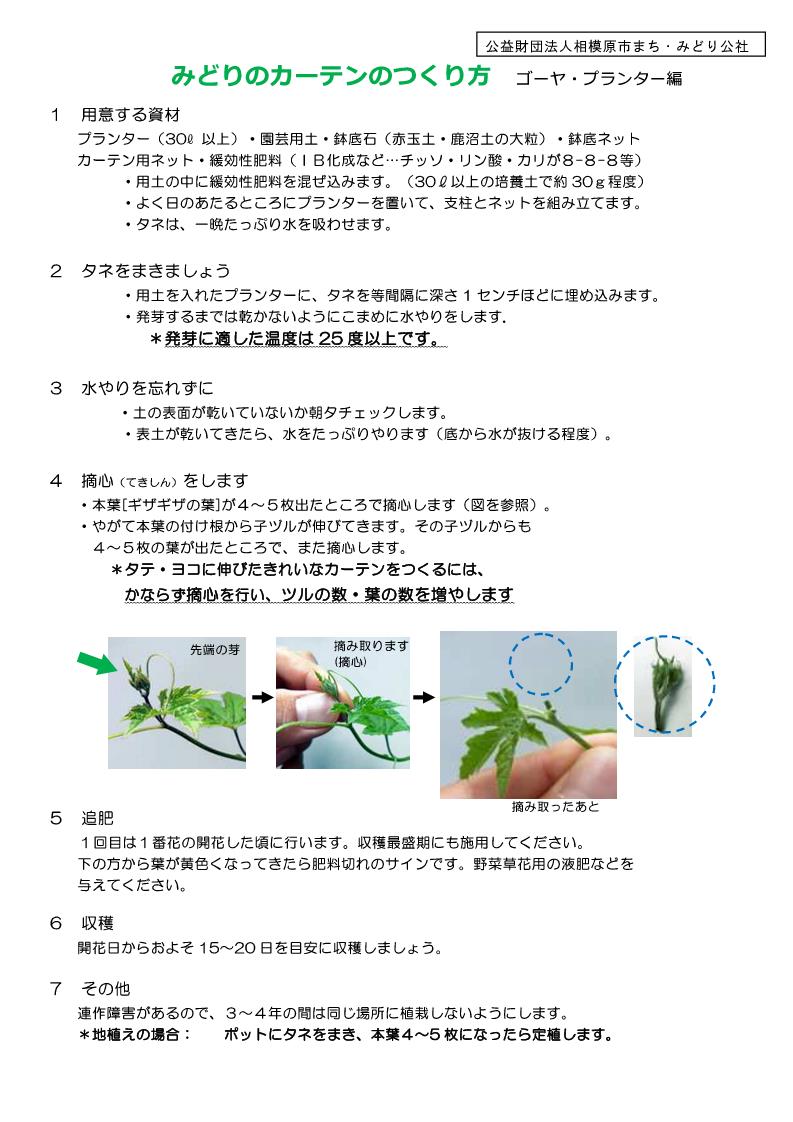 公益財団法人 相模原市まち みどり公社 みどりのカーテン栽培方法