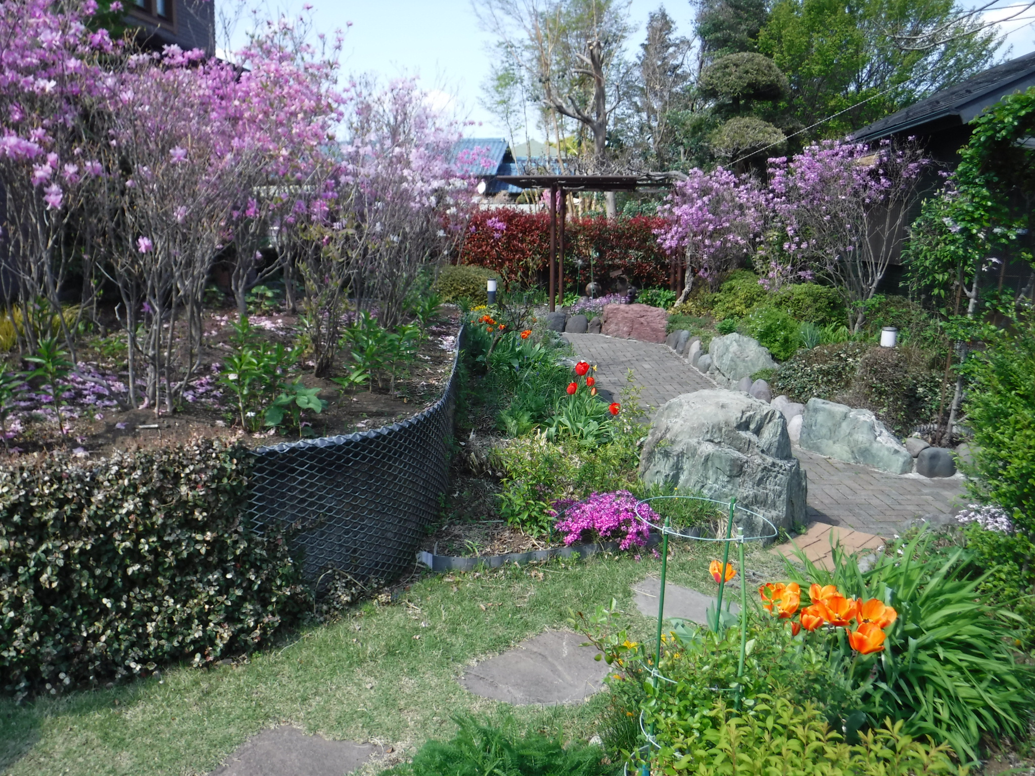 DSCF6472●全景.jpg
