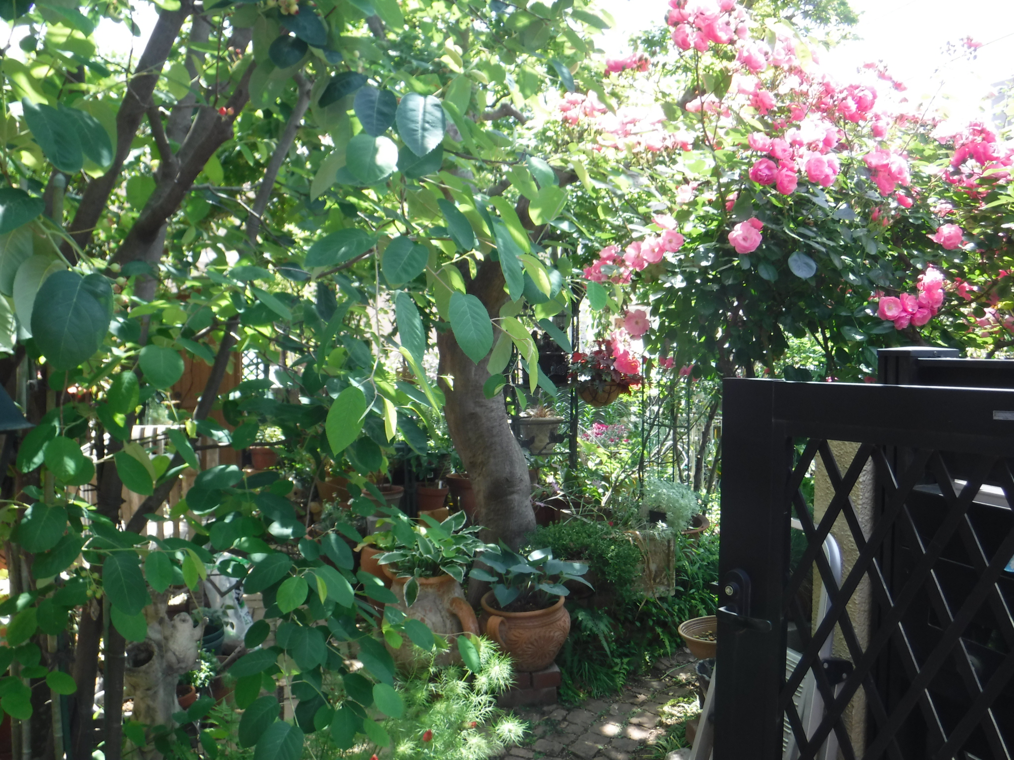 DSCF6664●アンジェラと入り口.jpg