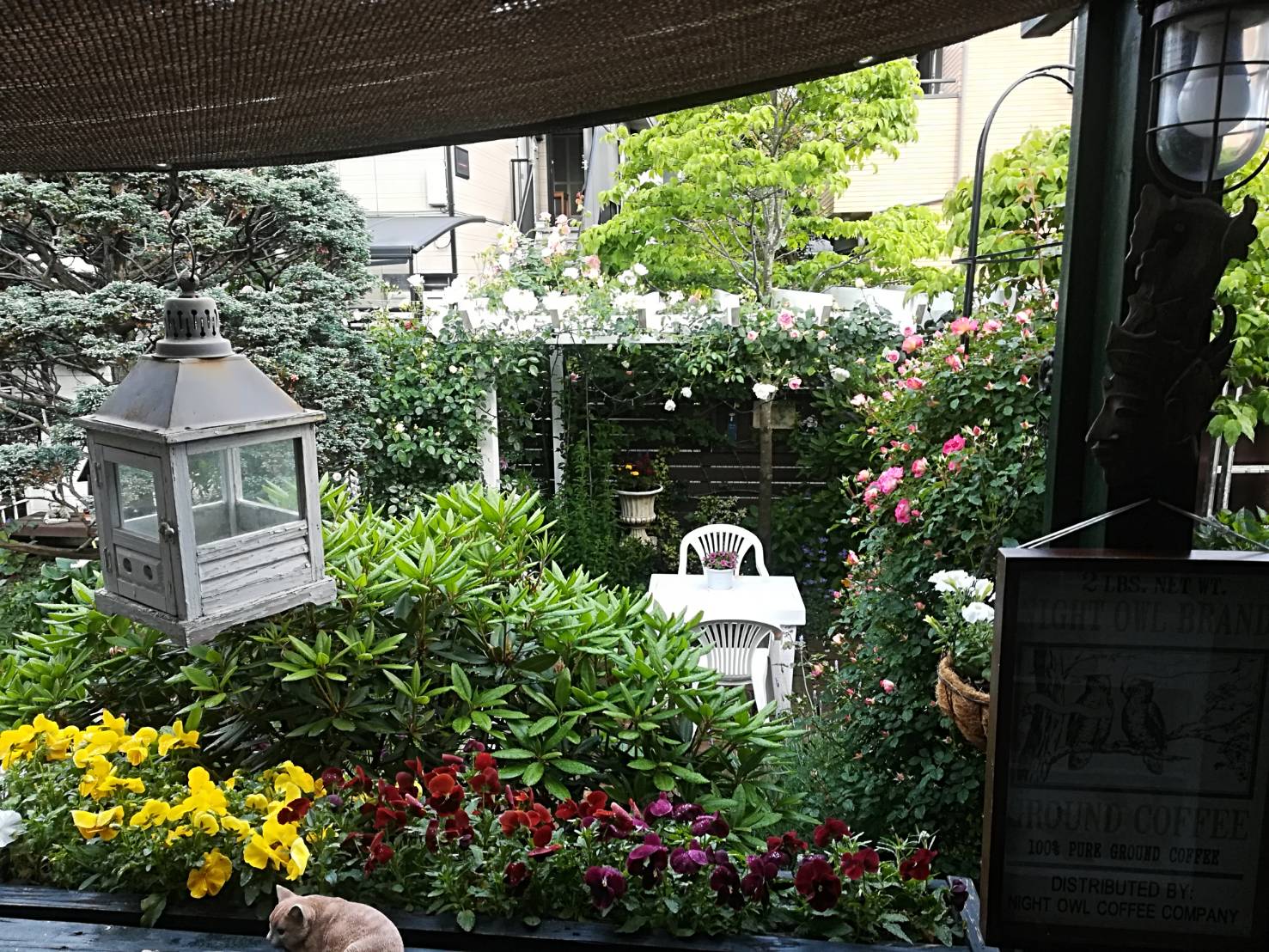 IMG_4088庭園内２.jpg