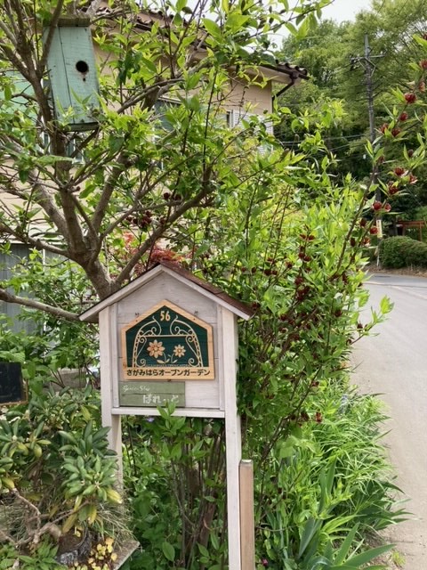 image020210426本田邸９.jpeg