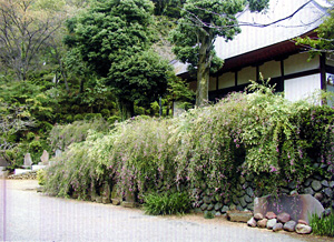 正覚寺（俳句寺）