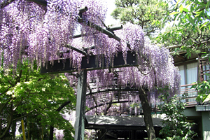 植光造園