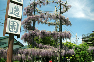 植光造園