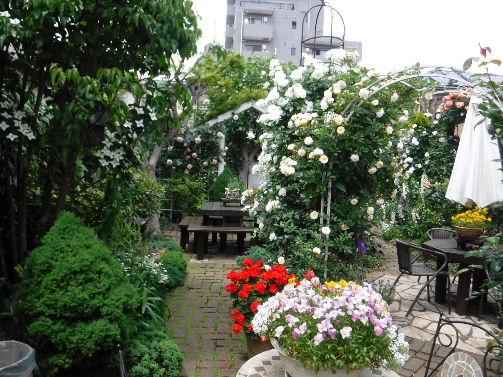 〇DSCF6710HPｱｲｽﾊﾞｰｸﾞ他.jpg
