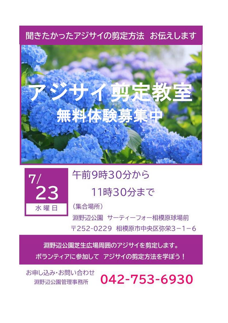 アジサイ剪定教室（ボランティア））_1.jpg