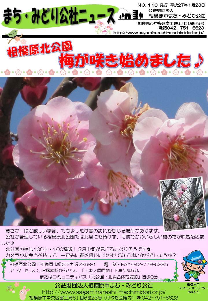 公社ニュース110号（15.1.23).jpg