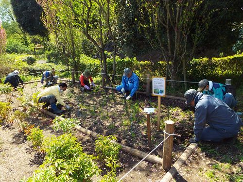 柴胡の会2017.4.20.jpg