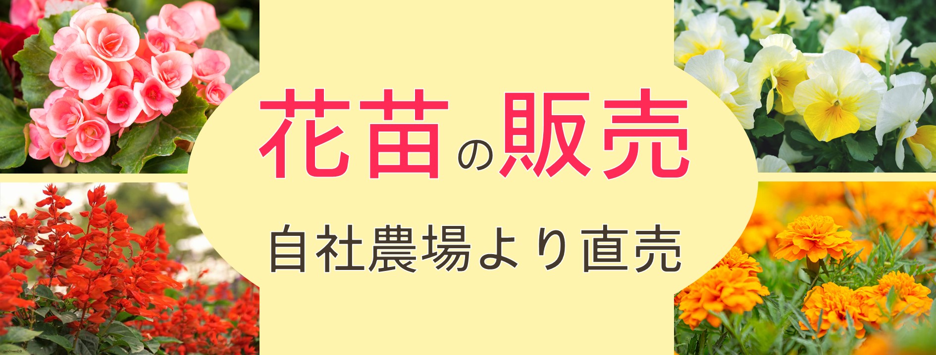 横断幕_花苗販売.jpg