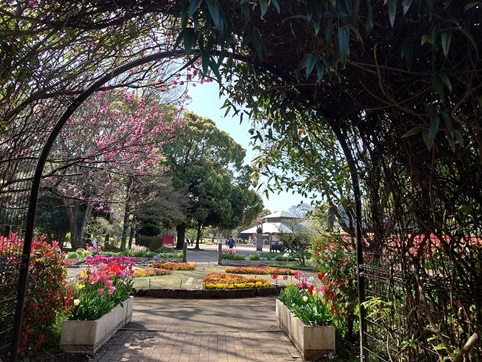 県立相模原公園①.jpg