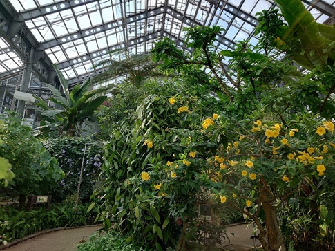 県立相模原公園③.jpg