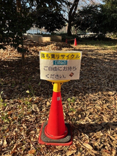 落ち葉1.jpg 落ち葉1.jpg