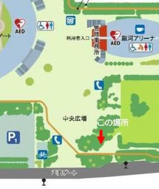 落ち葉場所_1.jpg 落ち葉場所_1.jpg