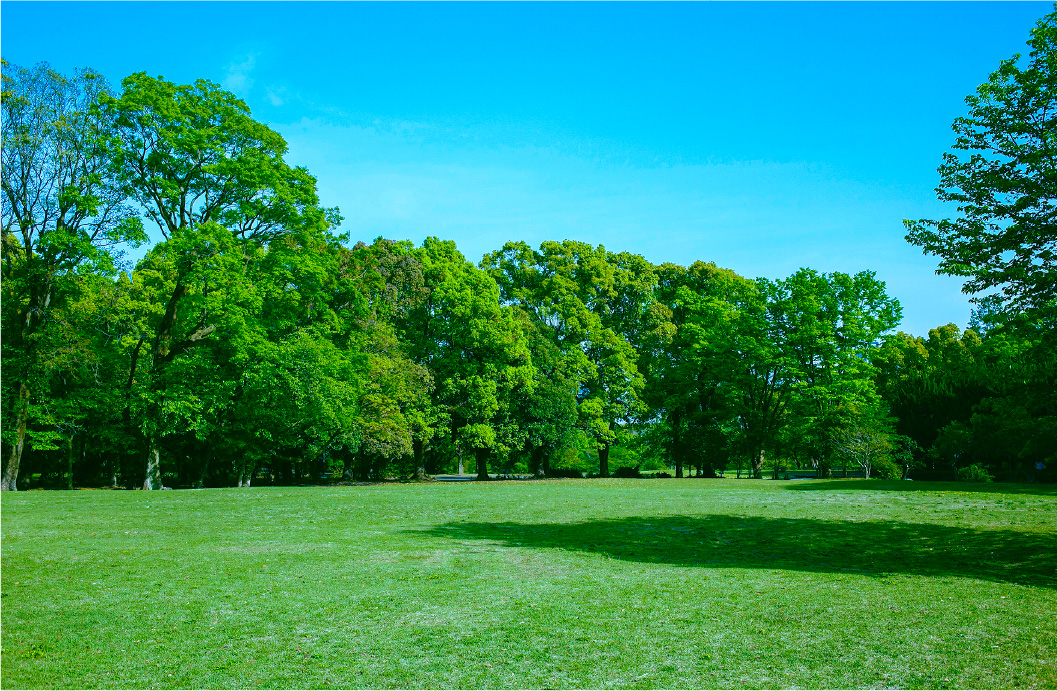 淵野辺公園