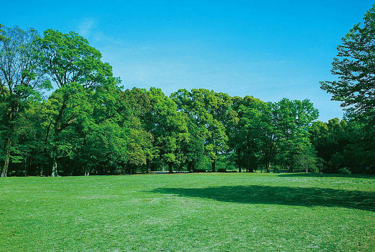 淵野辺公園