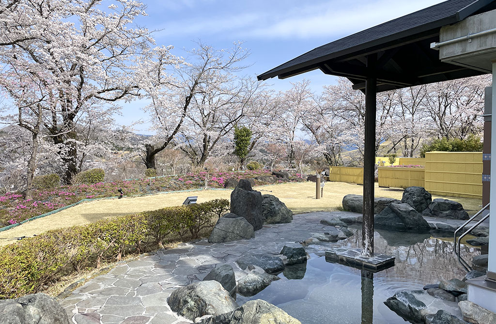 藤野やまなみ温泉