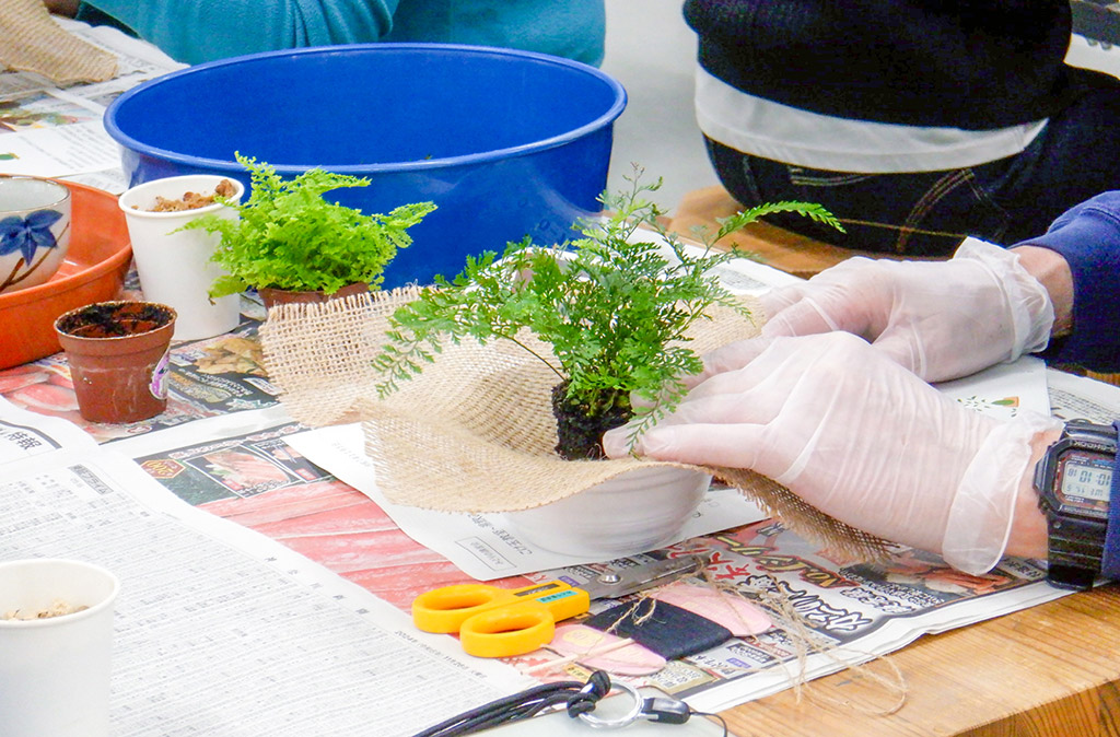 苗植え